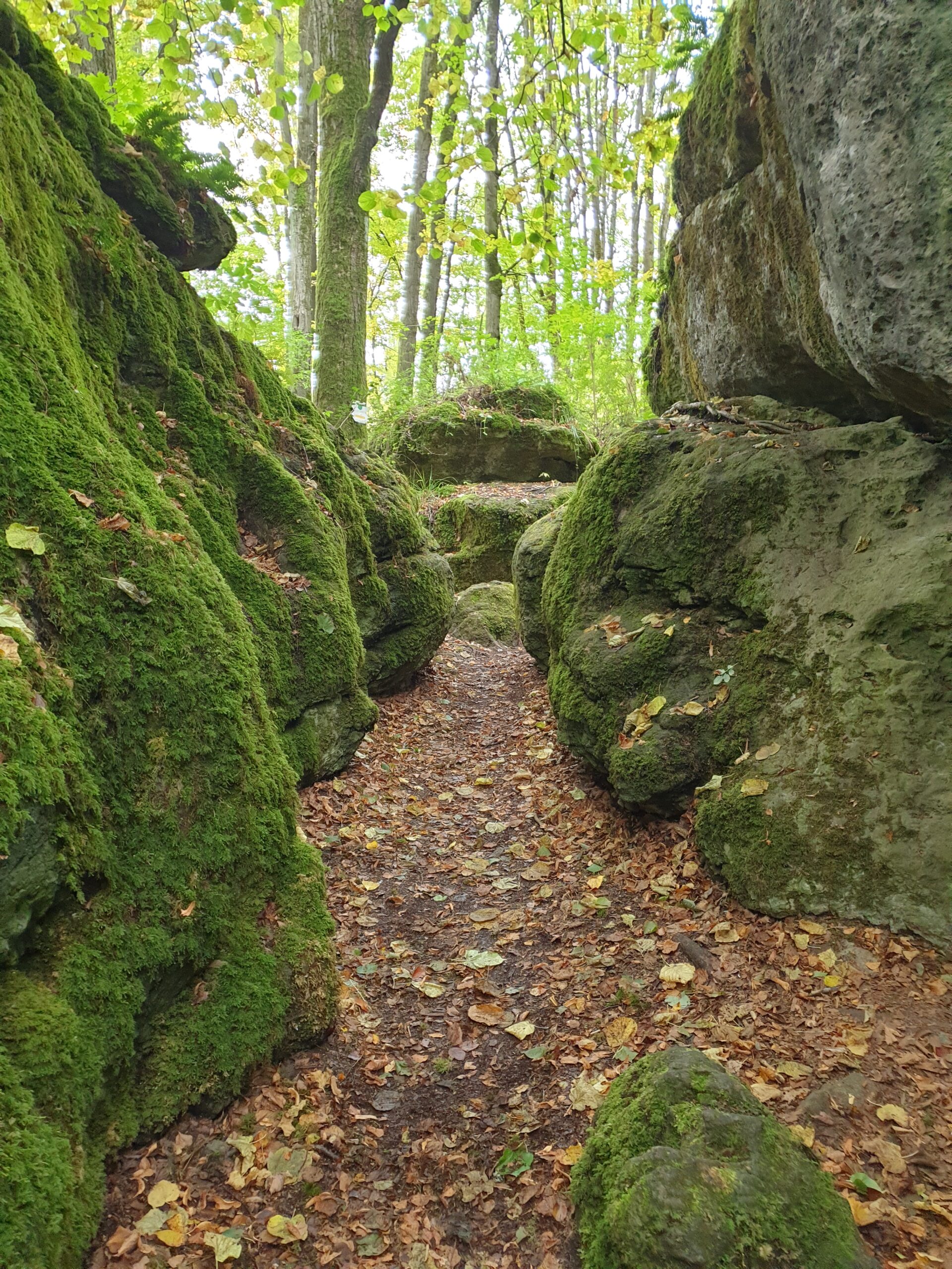 Natur